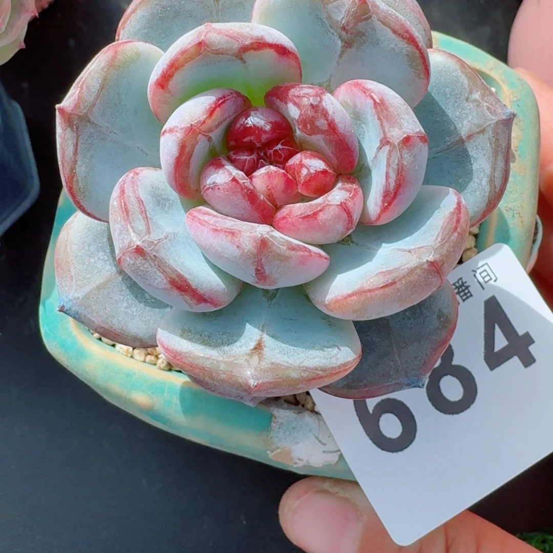 长相思      愿你一路坦途，乘风破浪展宏图