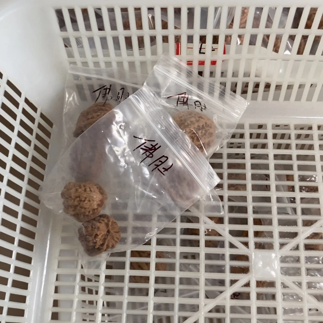 文玩核桃吊坠佛度团购