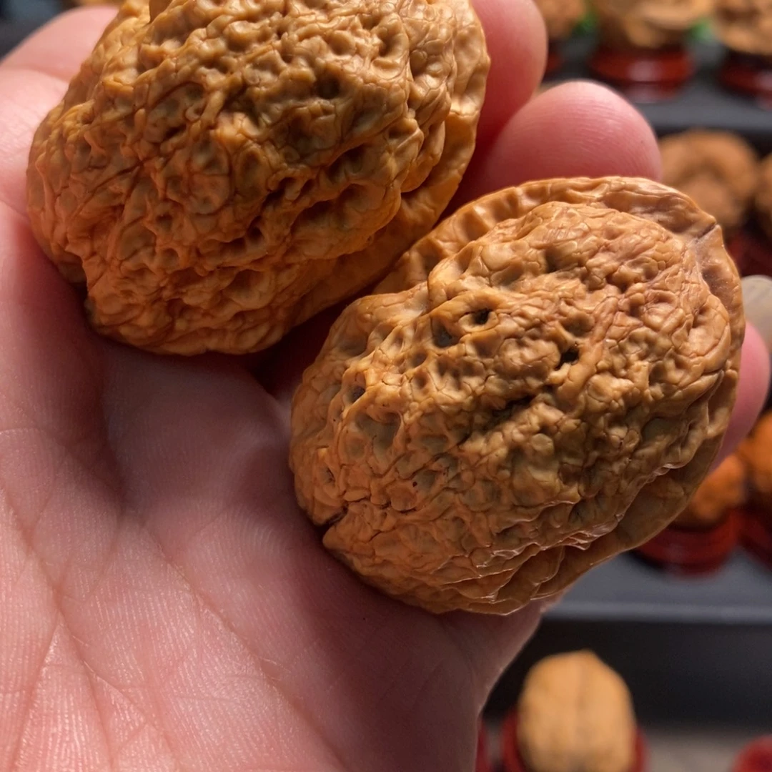 文玩核桃吊坠霸王龙43尺