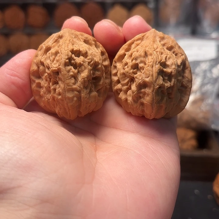 1文玩核桃招财狮子40-482