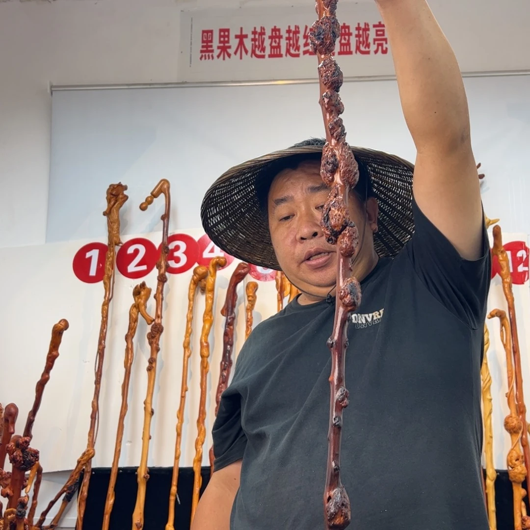 用***0黑果木其他黑果木559