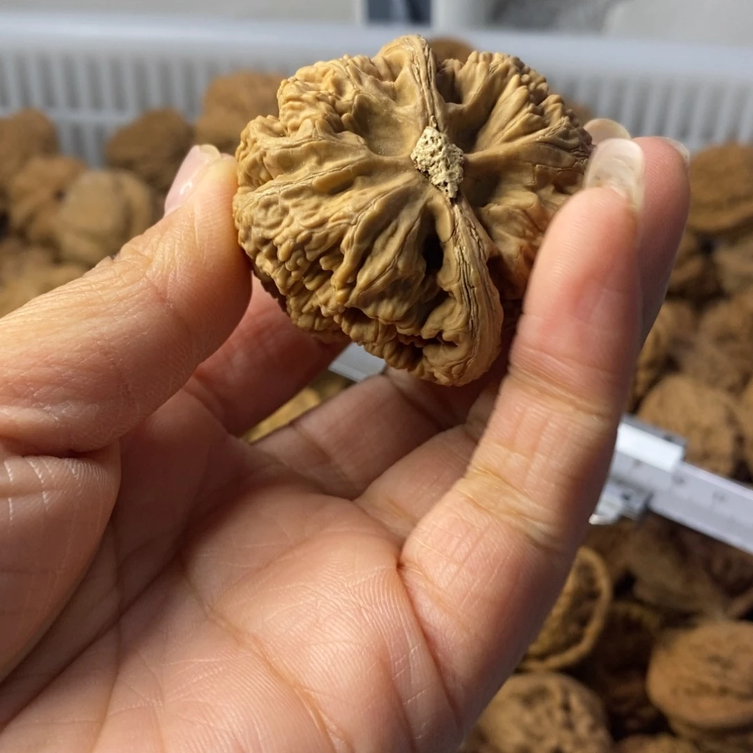 喝***天文玩核桃吊坠粗筋