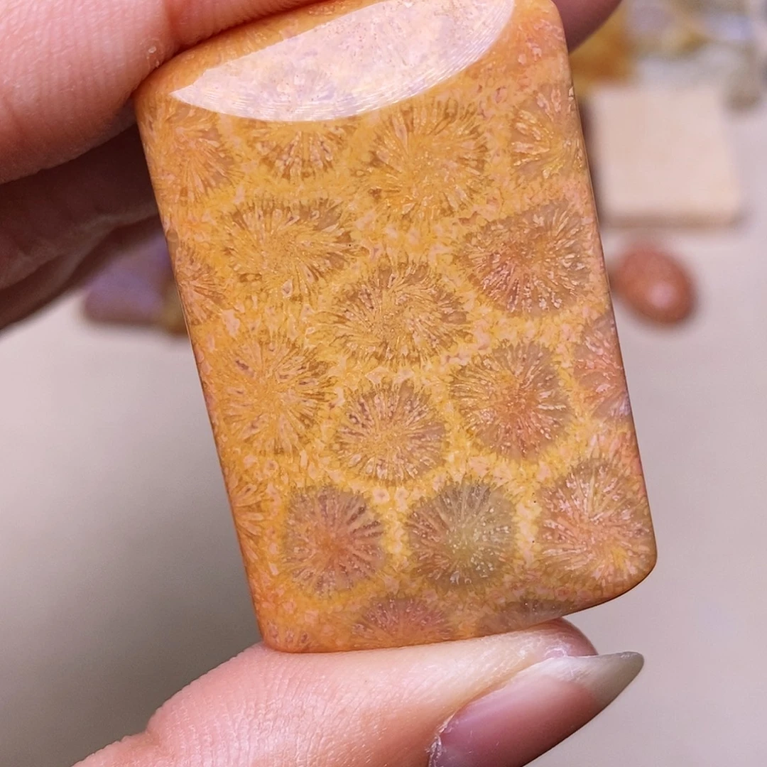 晖***晖硅化玉合金珊瑚玉