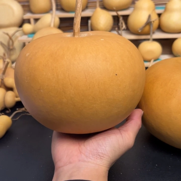 張*双葫芦葫芦葫芦葫芦葫芦