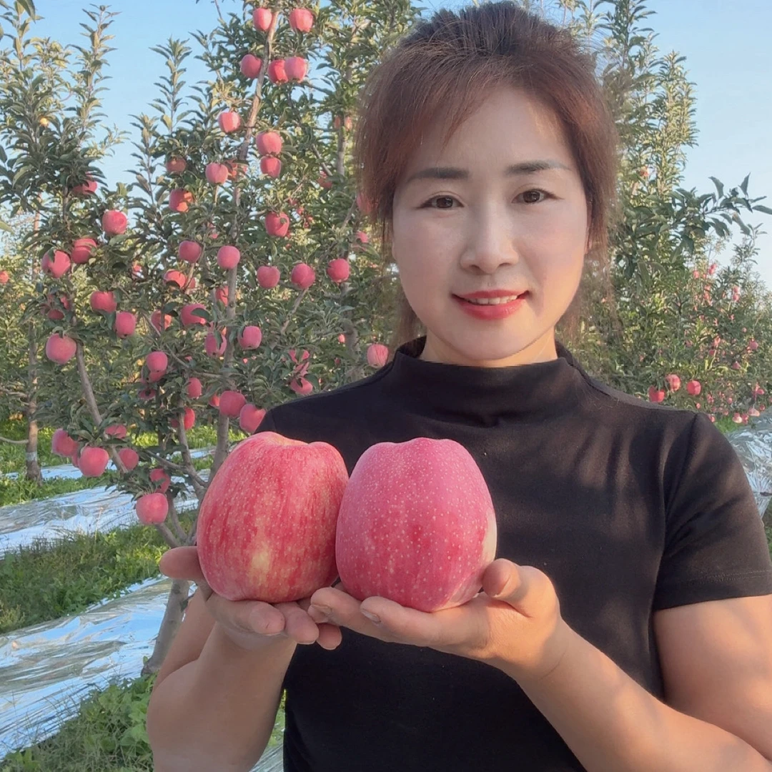 正宗甘肃庆阳果农自产（中秋王）新鲜脆爽汁水足带回家越放果味浓香