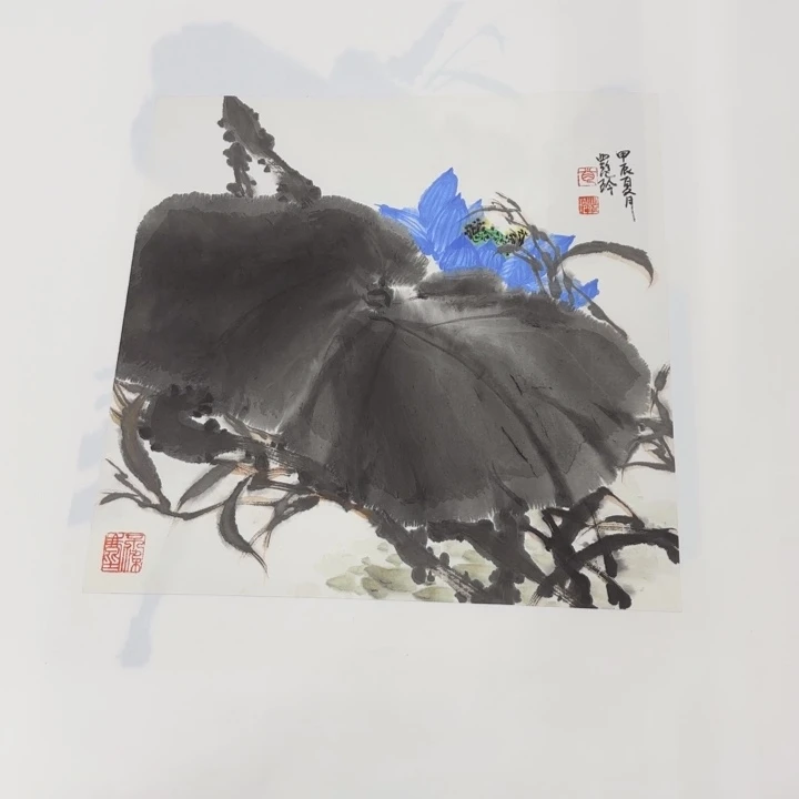 国画花鸟等多种鸟类的栖息环境