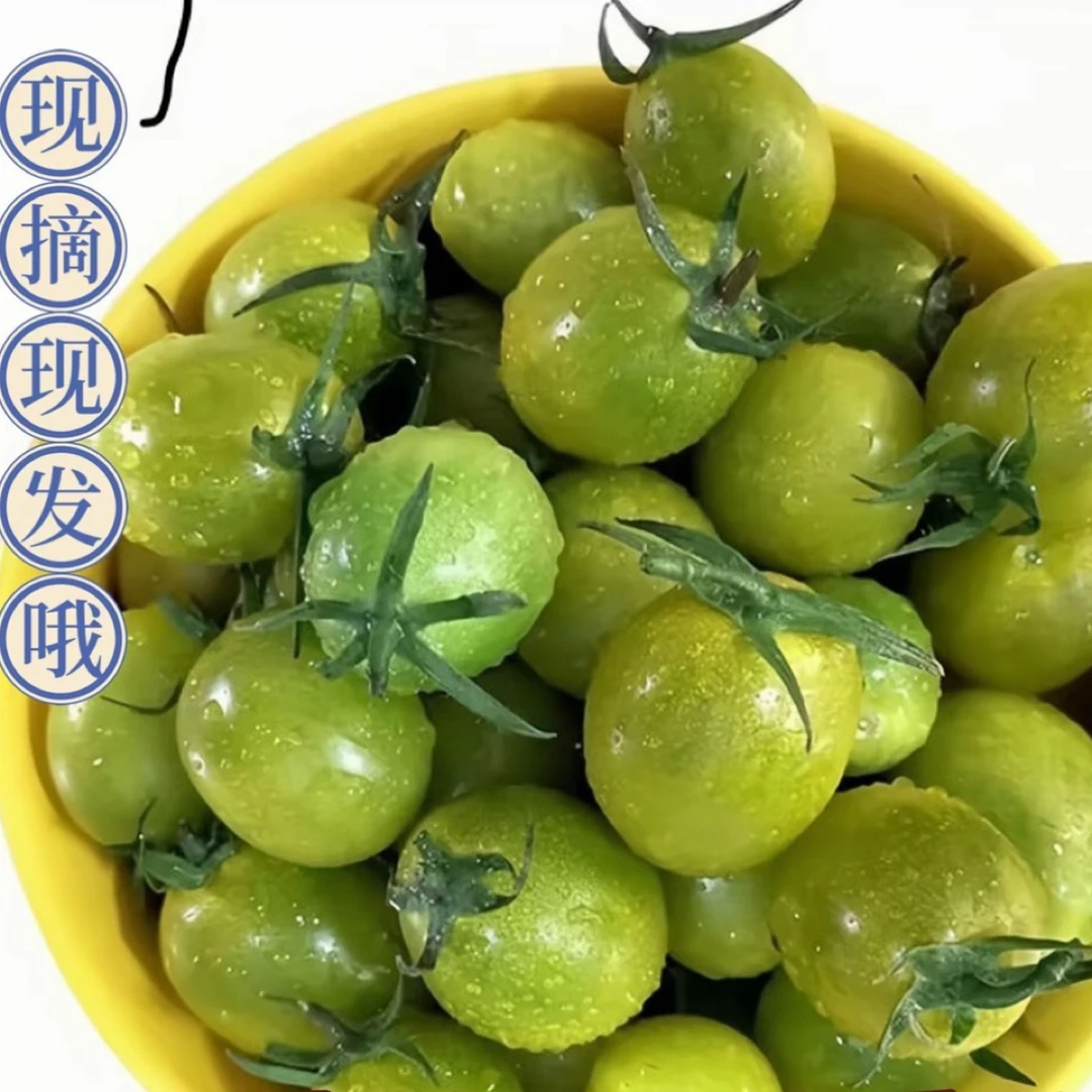 寿光直发高甜度青甜二号绿色圣女果西红柿小番茄酸甜爆汁