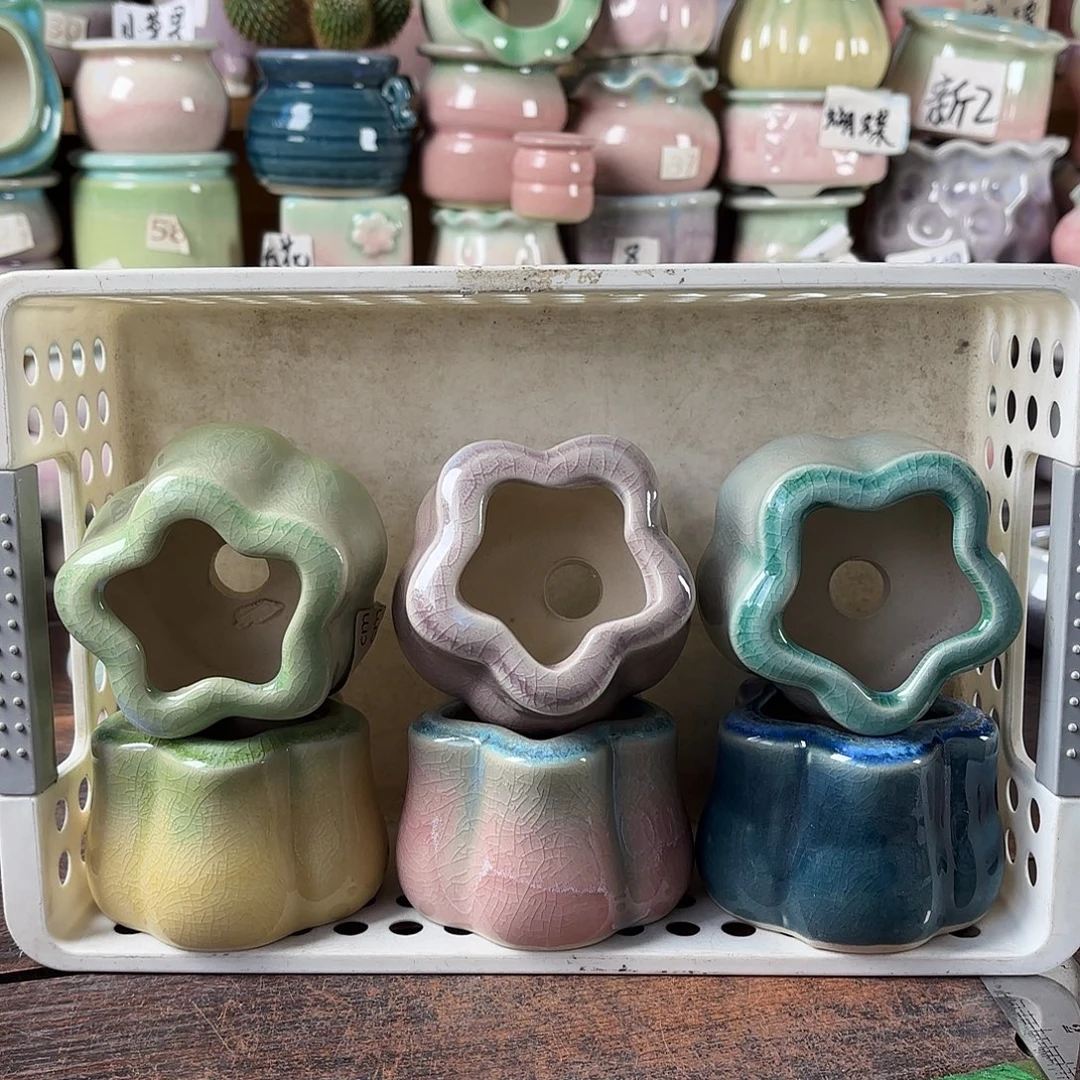 量货/口5高5深浅搭配发6