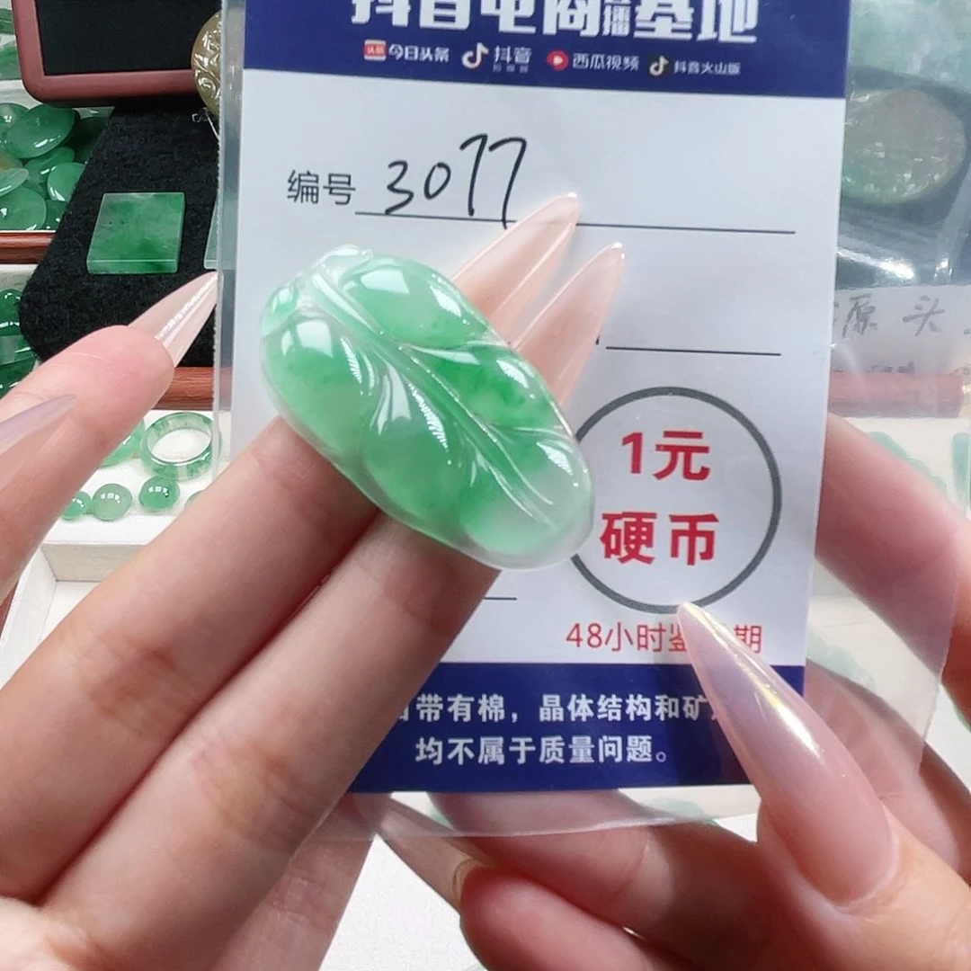 石英质玉未镶嵌颈饰“****娱