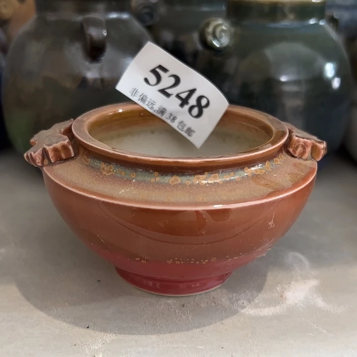 口6高5 未满30元运费到付