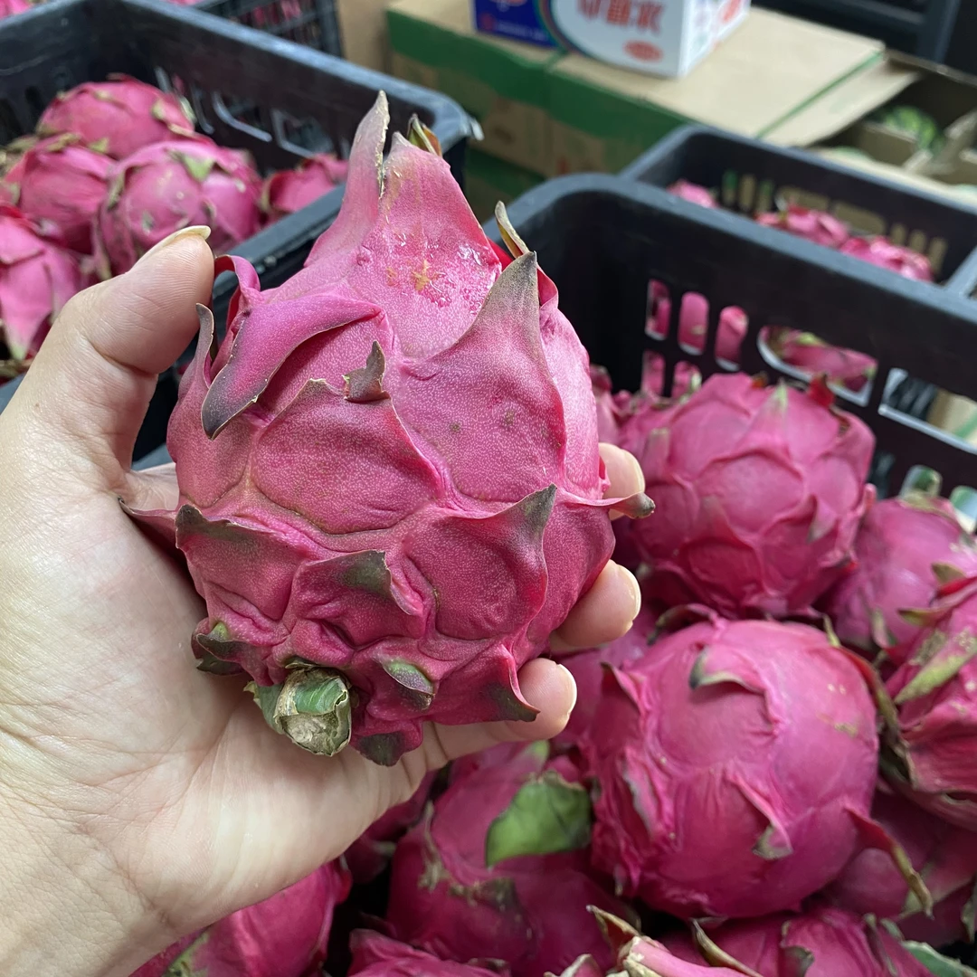 国产红心火龙果大果，红心火龙果大果