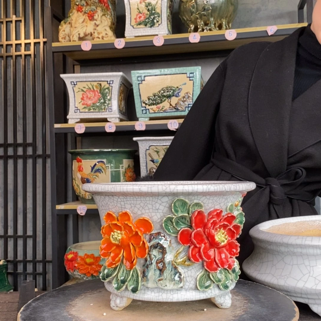 红陶?****牛6白色圆盆