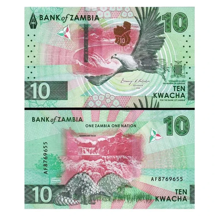 【非洲】赞比亚10克瓦查  外国钱币纸币 世界各国货币 动物钞 飞鹰