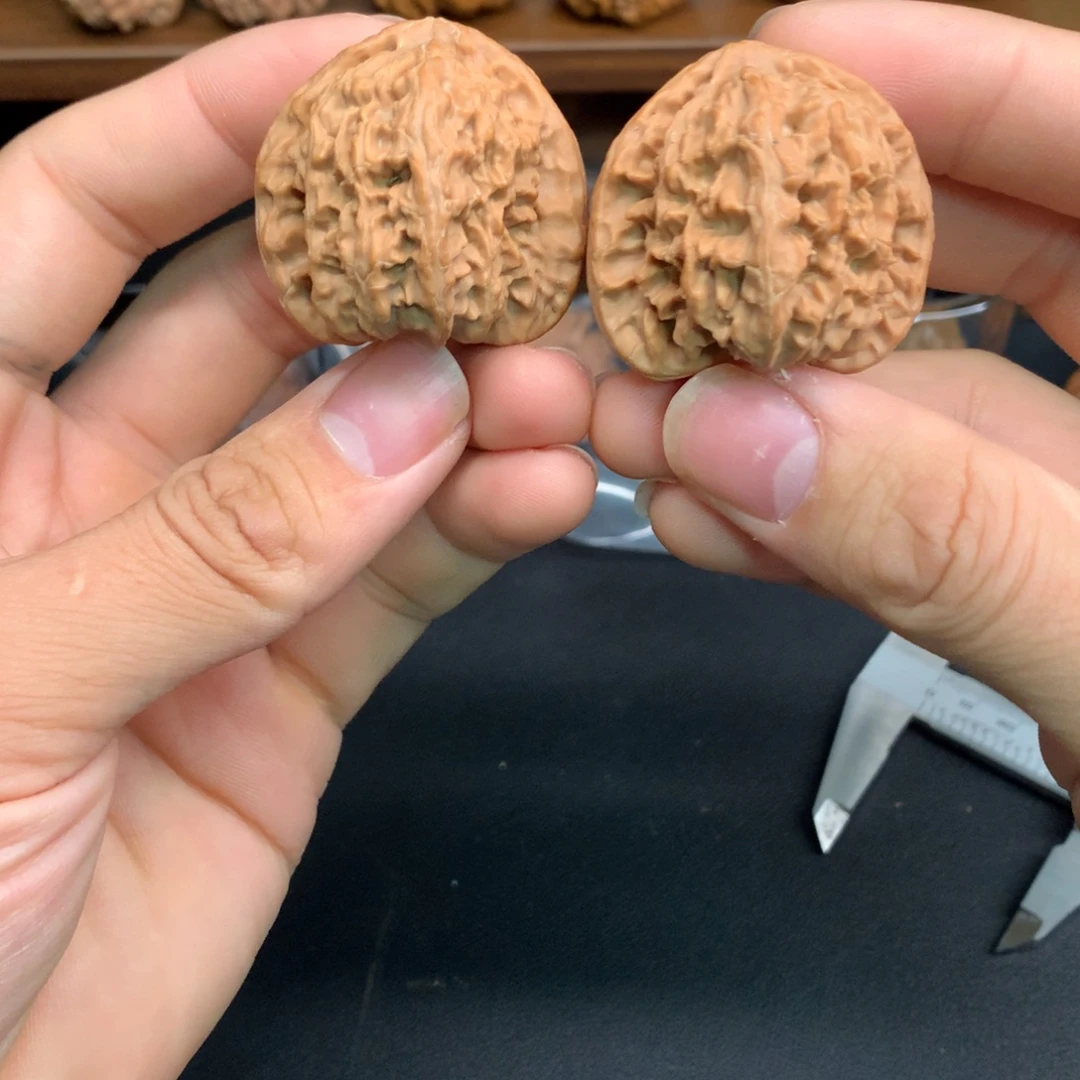 手串文玩核桃39白狮子