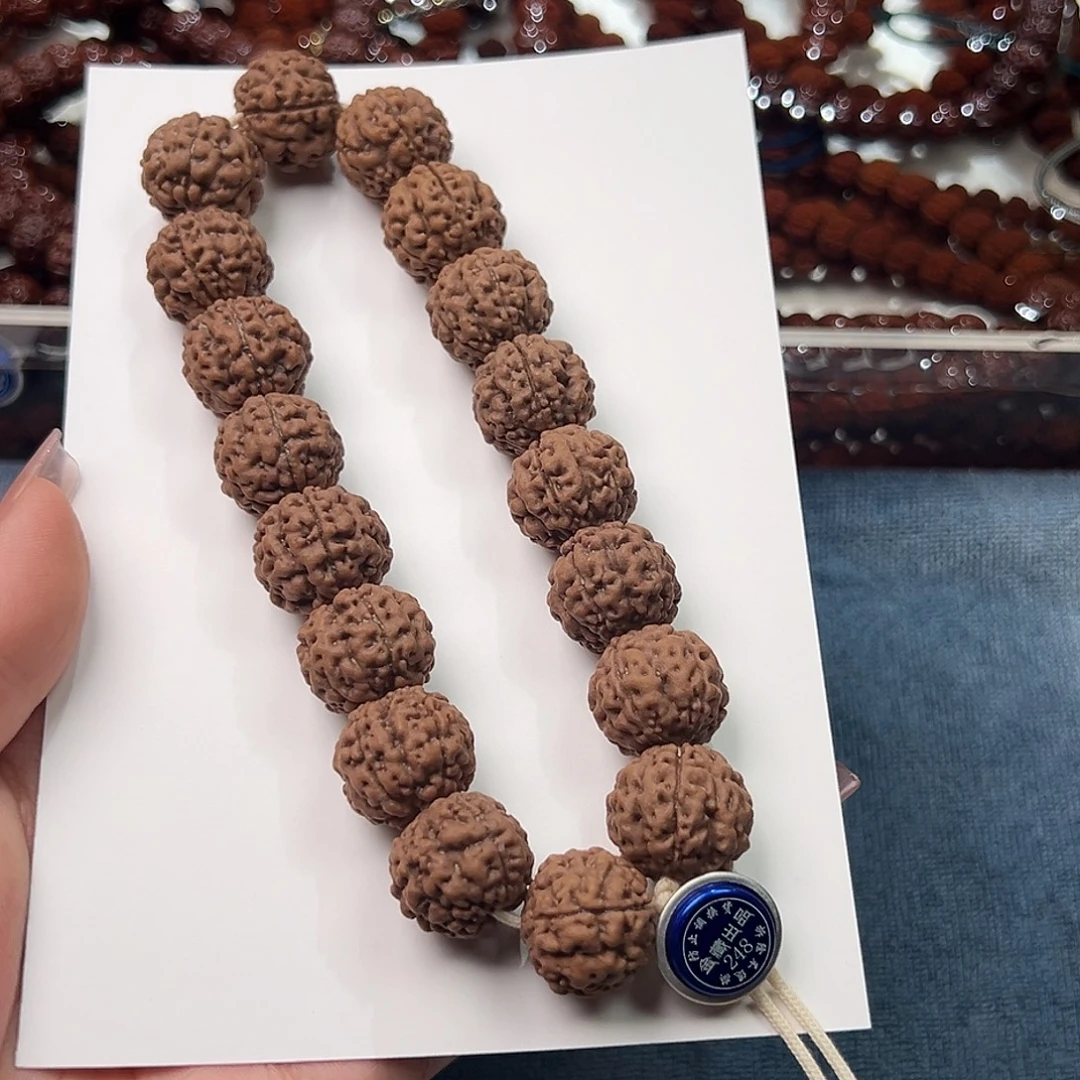 手串金刚菩提17龙珠手持248