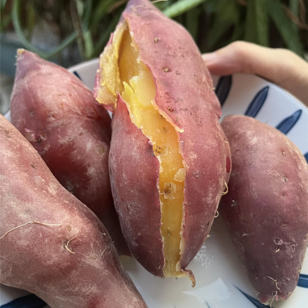 衢州特色农家小香薯新鲜现挖软糯香甜5斤装（水煮软糯，蒸烤粉粉）