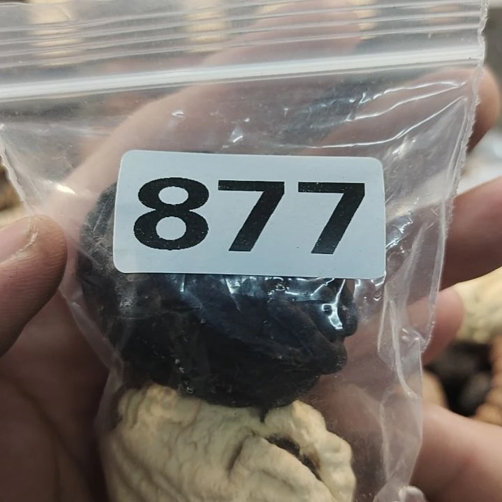 文玩核桃吊坠不*人文玩核桃