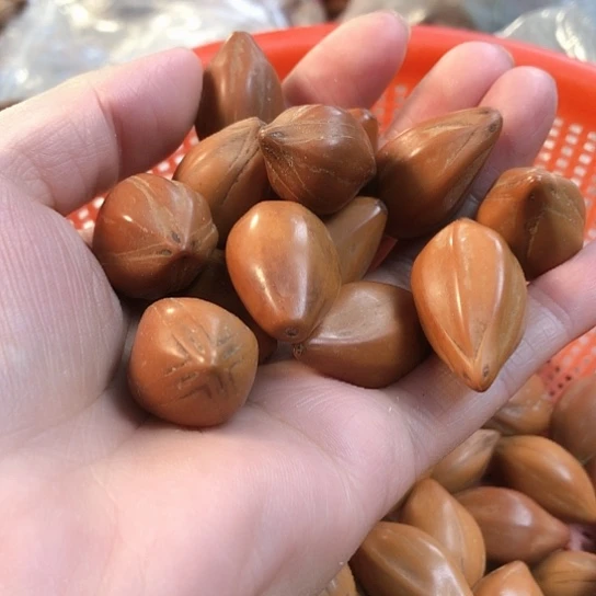 吊坠橄榄核橄榄核四花精抛光88一斤500克