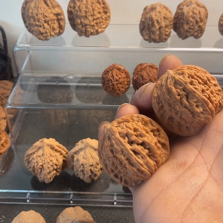 桃核吊坠40蟠龙纹