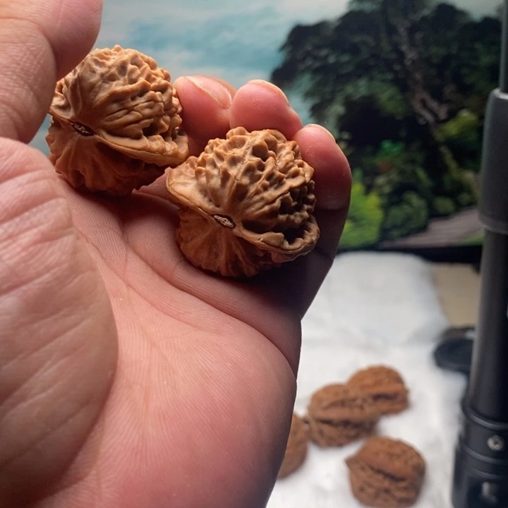 胖***熊文玩核桃吊坠37龙鳞