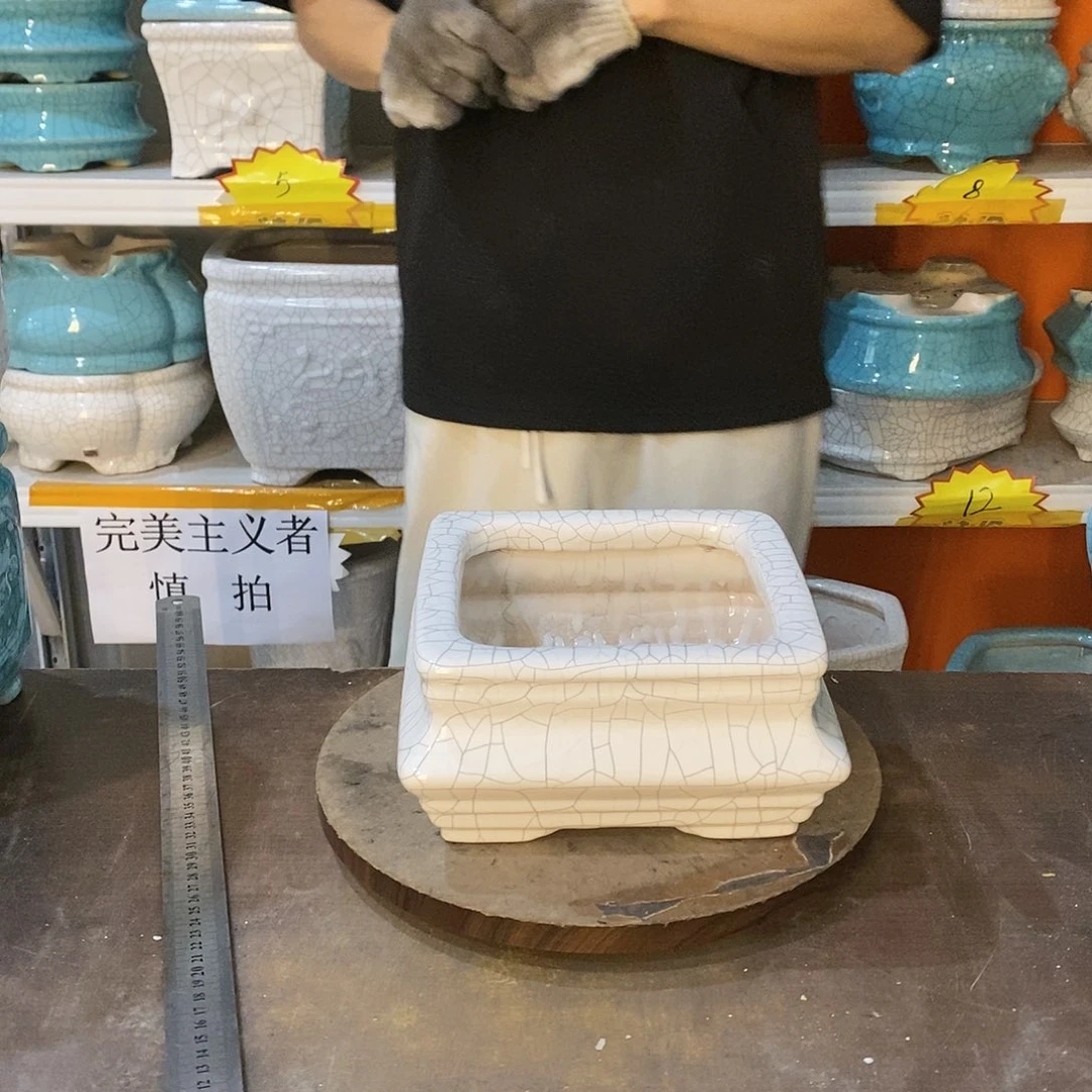 占*花盆花盆里的