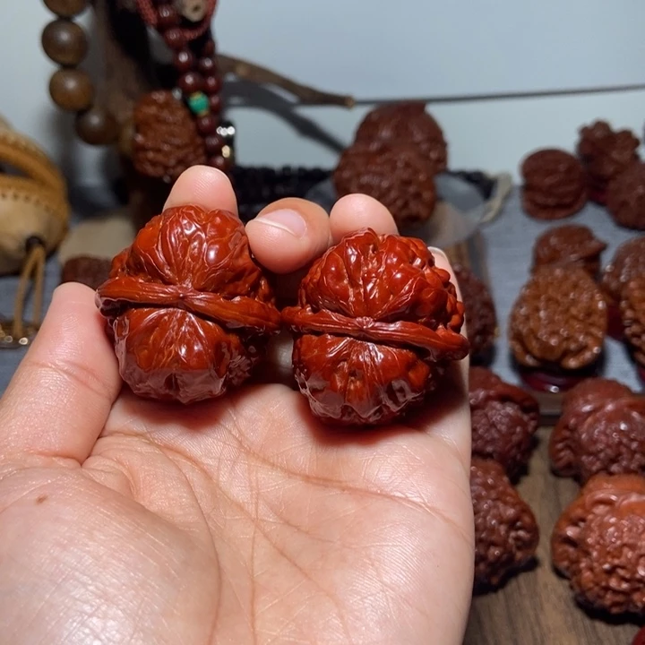 1***o核桃蛤蟆1111111111