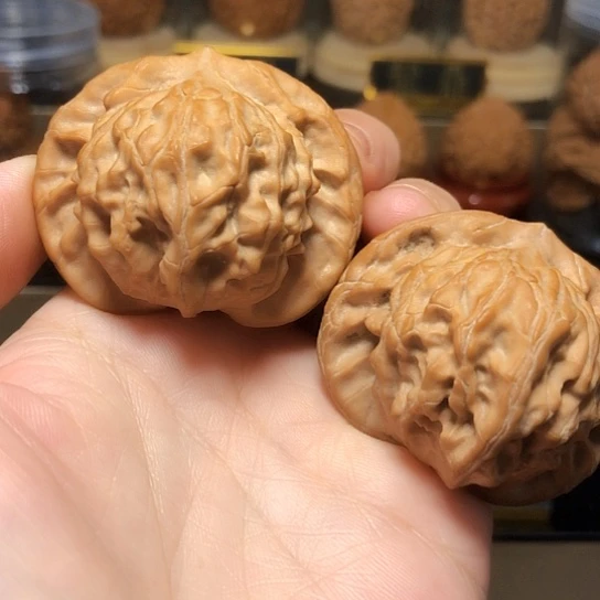 收藏级：大耳朵图图