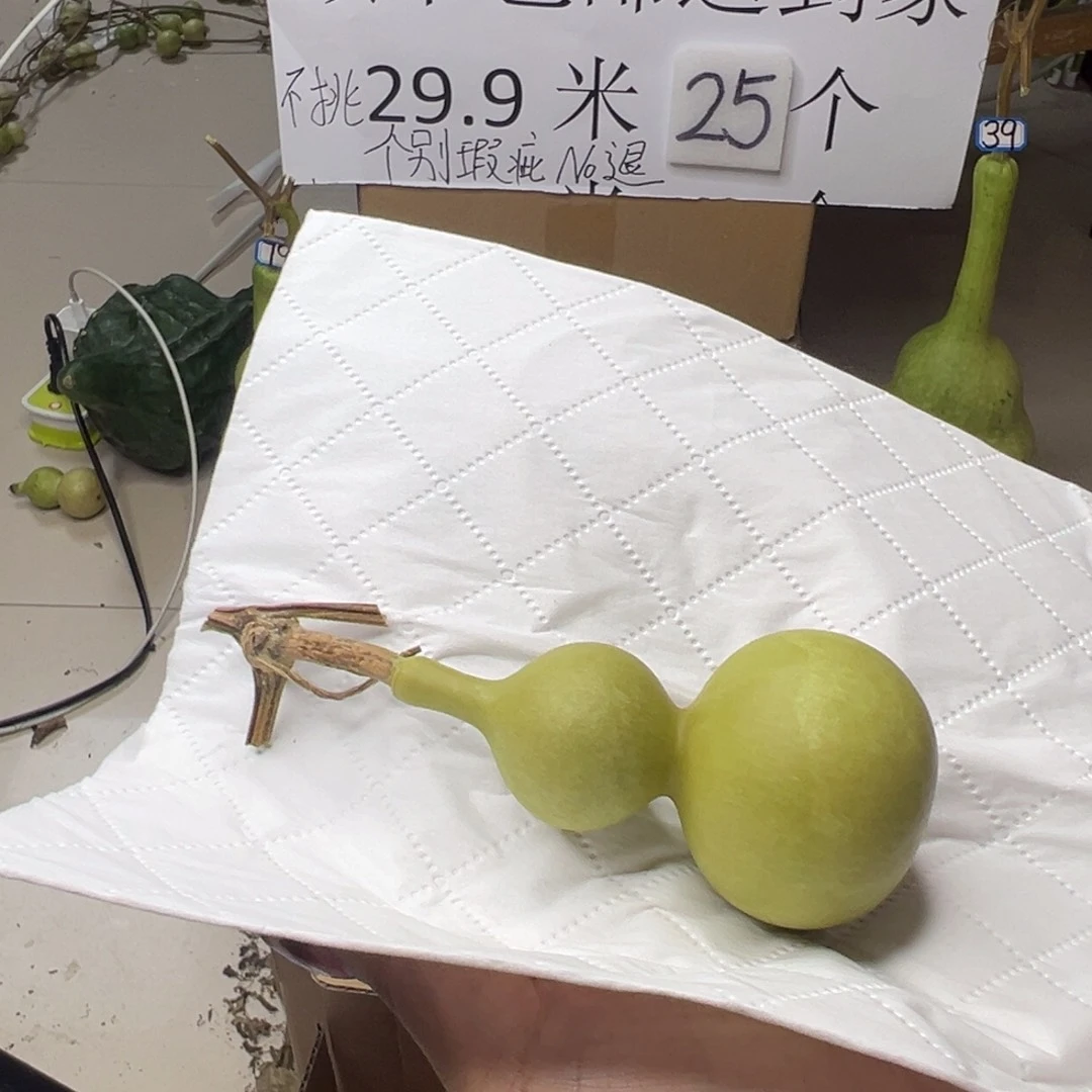 葫芦中国大陆虾***3