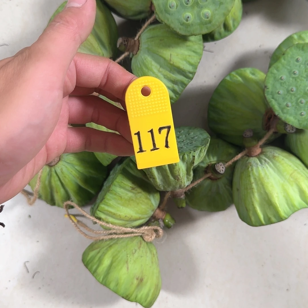 冬***冷鲜的大的2串包邮的