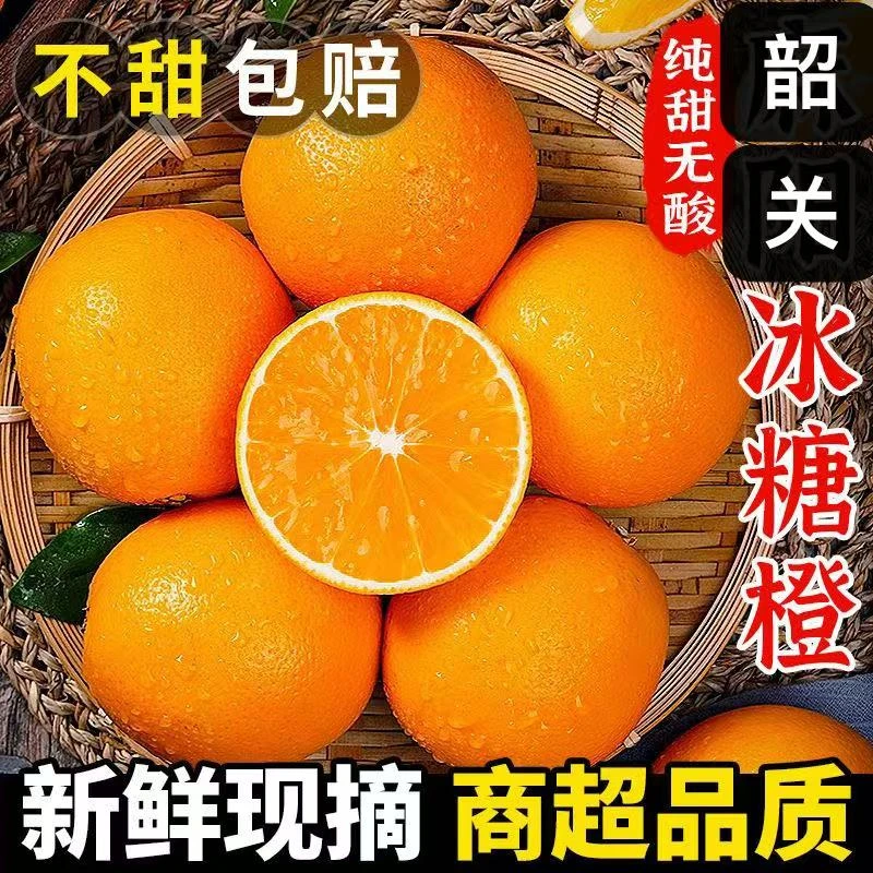 广东韶关特产脐橙红橙现摘新鲜手剥橙子汁水多当季柑橘水果