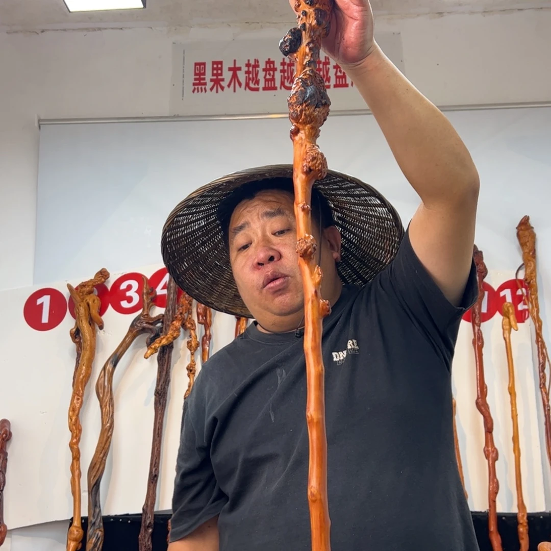 蚂***蚁黑果木其他黑果木256