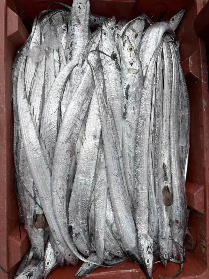 本地刀鱼-3/4斤干冰发货顺丰包邮（易破腹介意勿拍）