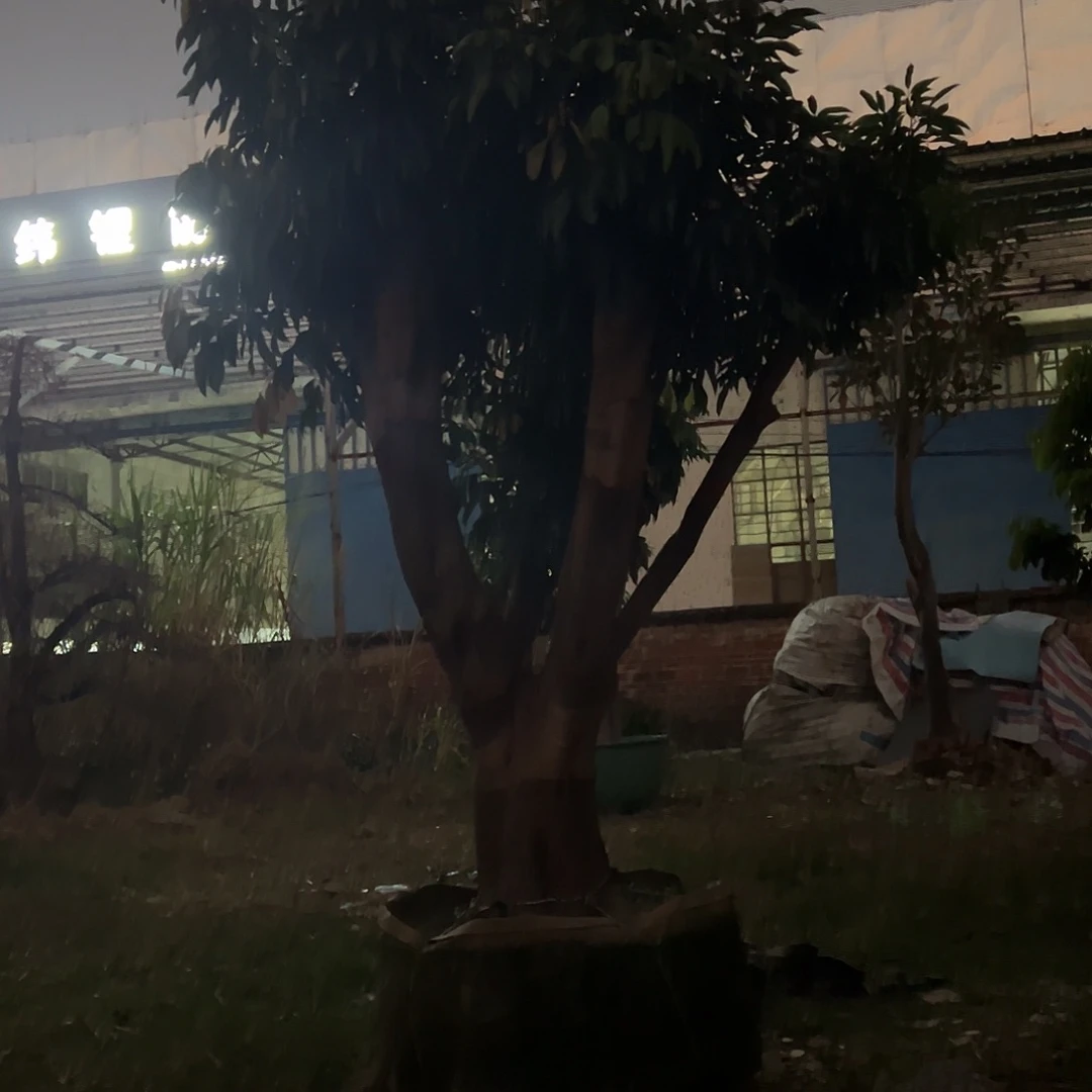 用***8完全开放果树果树22222