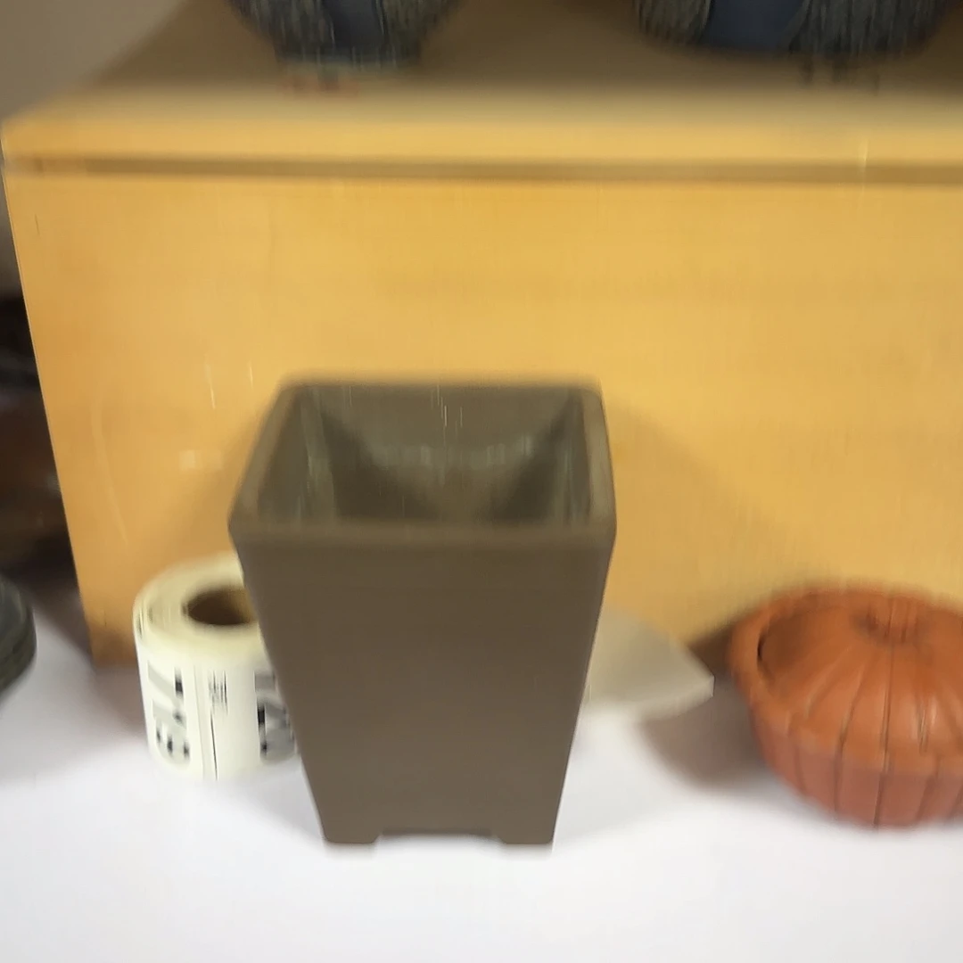 紫砂4果果果果果果果果果果山****光