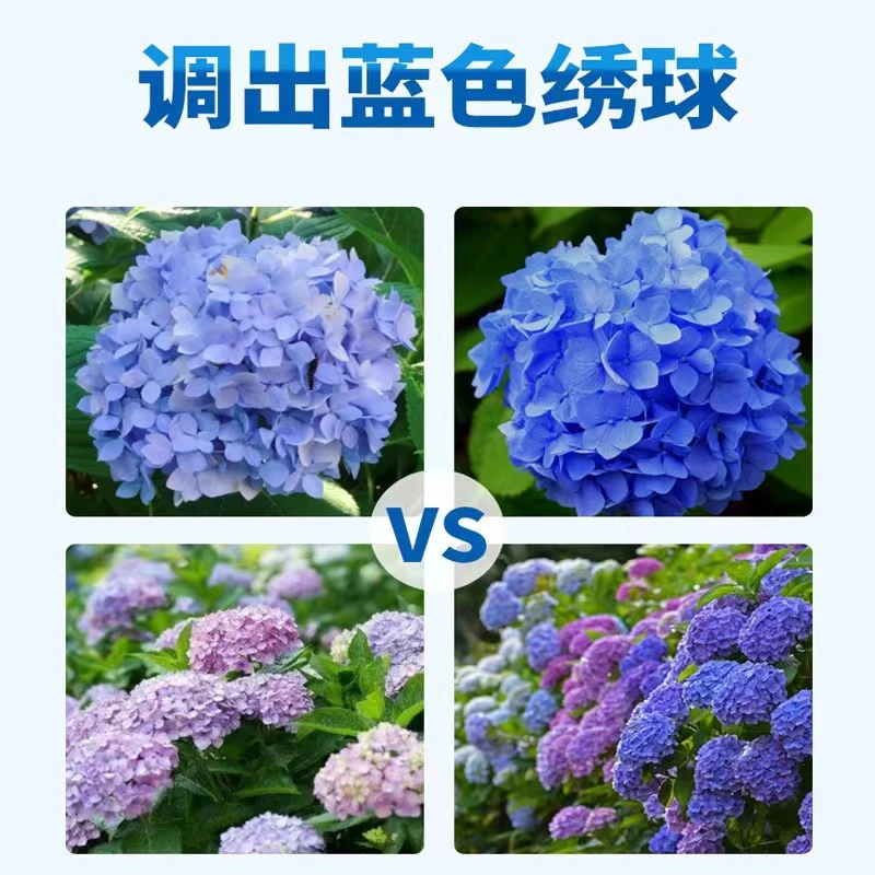绣球调蓝剂硫酸铝绣花肥蓝色绣球变蓝营养缓释颗粒酸性调色肥