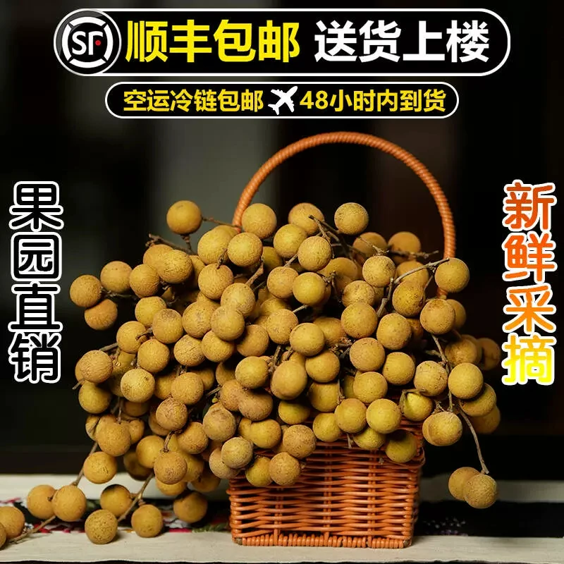 新鲜龙眼福建莆田果园现摘整箱新鲜桂圆当季龙眼新鲜甜顺丰包邮