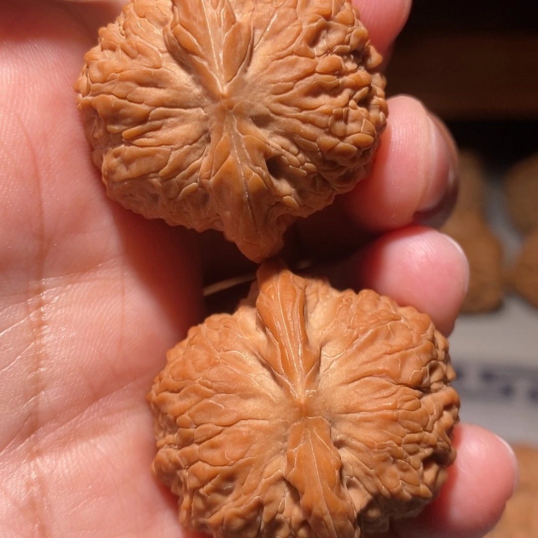 把件文玩核桃043血麒麟37尺全品头货对