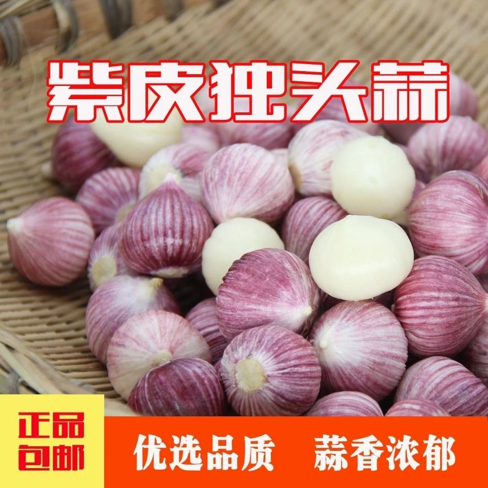 【新鲜现挖】2025年新蒜现挖精品紫皮独头蒜独蒜0.5/1/2/3/5斤包邮