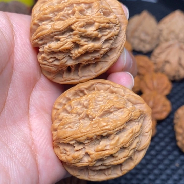 秦岭野生111111111