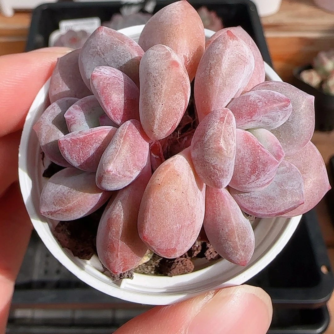 1107----410福利福利