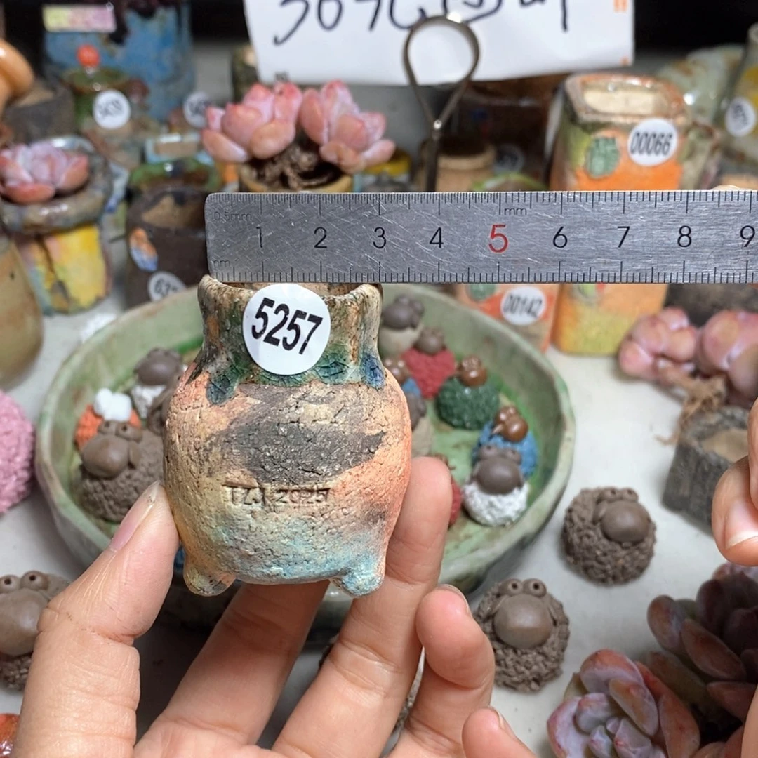 拍3送一个小礼物