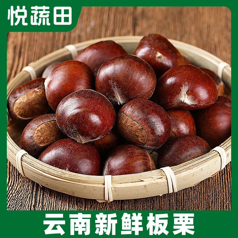 云南永仁鲁母生板栗新鲜板栗去刺球高山老树板栗
