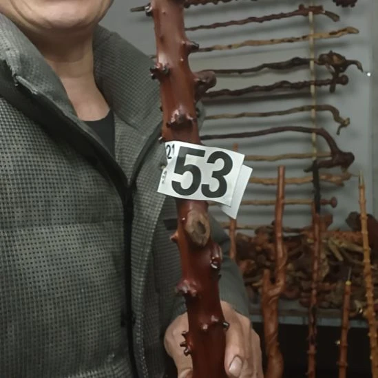 茶***味香榧木高山 檬子木文玩料