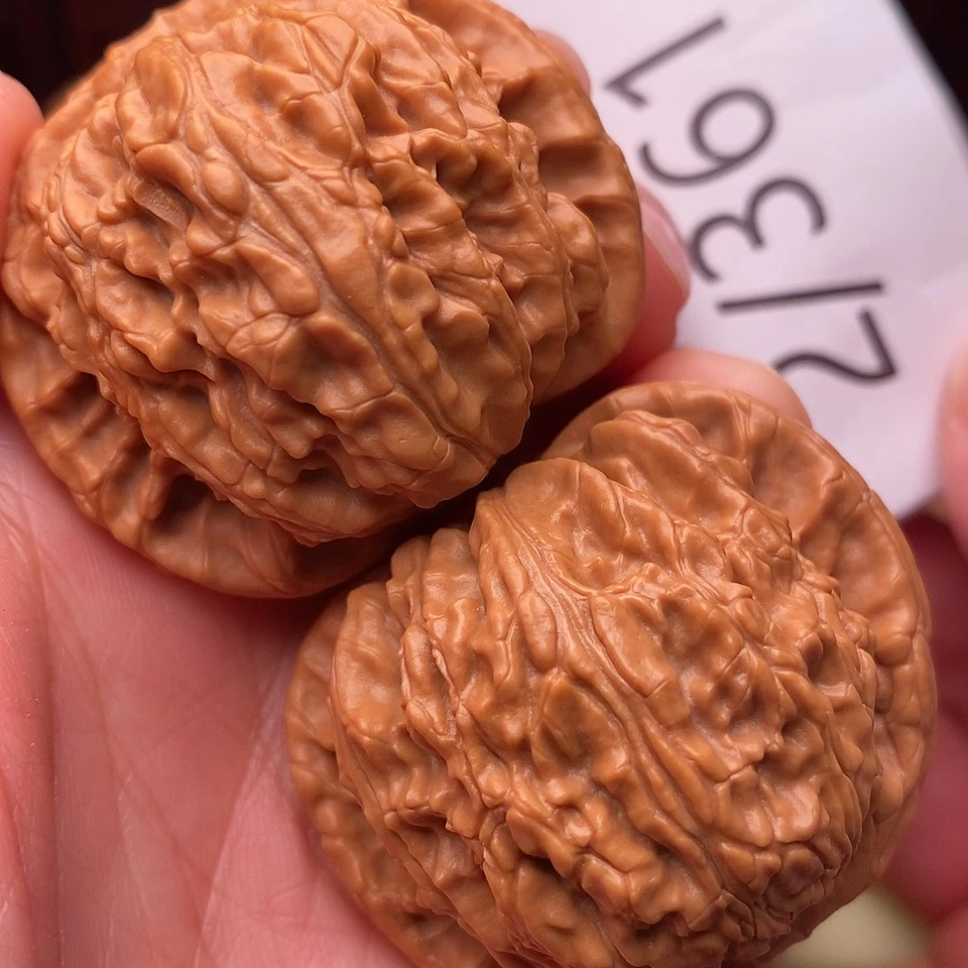 把件文玩核桃42白狮子