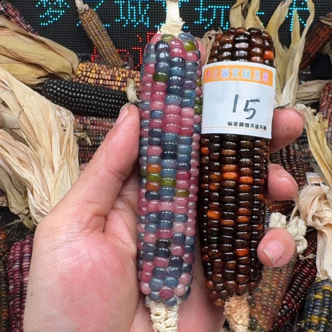 柏香籽/百香籽吊坠居**I