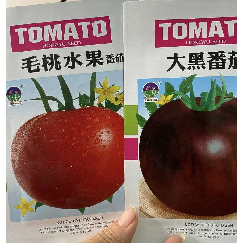 jj大黑番茄种子今年新种今年新种