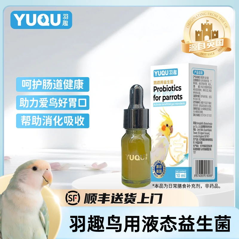 羽趣鹦鹉益生菌日常养护消化系统维持进食状态鸟用营养补充剂