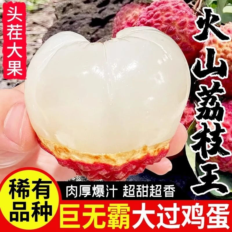 【京东 顺丰】海南火山荔枝王现摘现发新鲜当季水果超大荔枝5斤高颜值现货不用等荔枝同城送