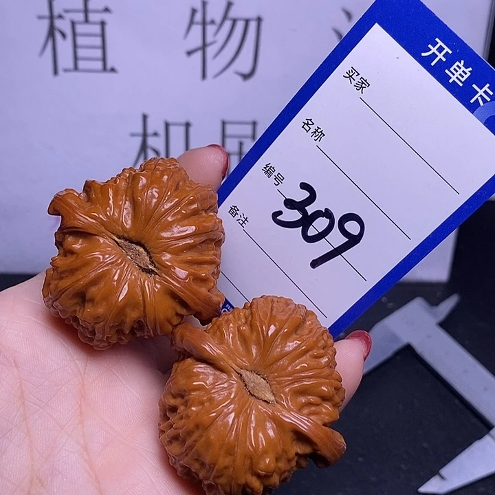 把件文玩核桃309/45白狮子