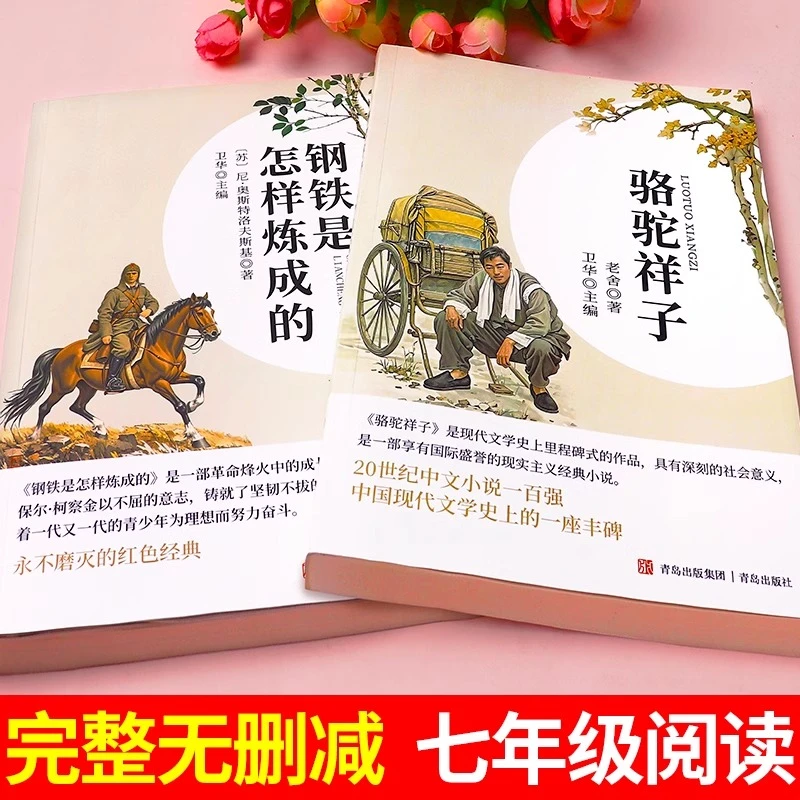 骆驼祥子钢铁是怎样炼成的海底两万里七年级下必读原著正版完整版